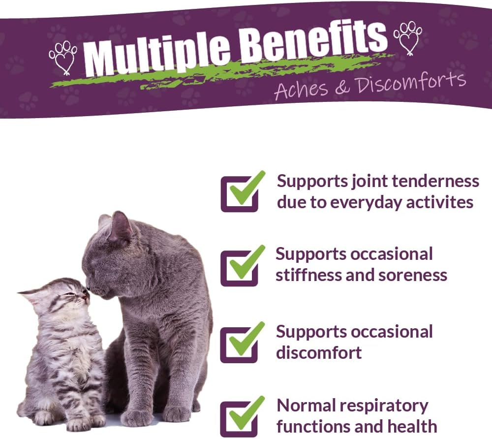 Amber Naturalz Adizone C Herbal Supplement For Cats | Supports Healthy Inflammatory Response, Occasional Discomfort, And Normal Joint Function | Natural Aid For Active And Aging Felines : Pet Supplements And Vitamins : Pet Supplies