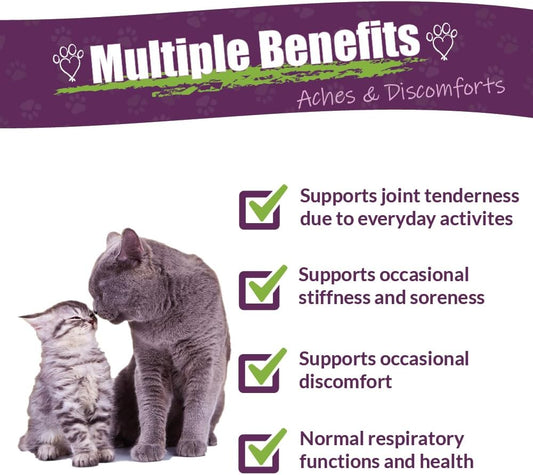 Amber Naturalz Adizone C Herbal Supplement For Cats | Supports Healthy Inflammatory Response, Occasional Discomfort, And Normal Joint Function | Natural Aid For Active And Aging Felines : Pet Supplements And Vitamins : Pet Supplies