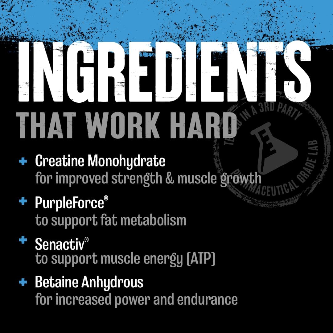 Animal Supercharged Creatine Powder - Creatine Monohydrate Post Workout Muscle Recovery Supplement Plus Endurance Betaine Anhydrous, Senactiv, and PurpleForce to Delay Fatigue, Fruit Punch : Health & Household