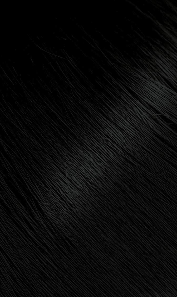 Bigen Hair Color, #88 Blue Black, 1 Count