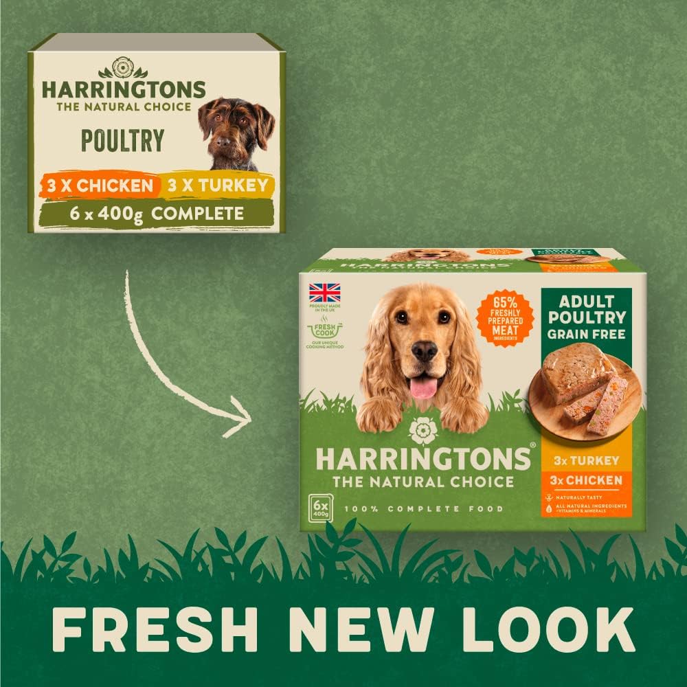 Harringtons Complete Wet Tray Grain Free Hypoallergenic Adult Dog Food Poultry Pack 6x400g - Turkey & Chicken - Made with All Natural Ingredients :Pet Supplies