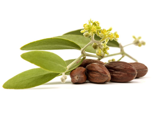 Jojoba Oil Premium Jojoba Oil 4 Fl Oz. 100% Pure Organic Cold Pressed Unrefined Best For Hair, Skin, Face & Nails