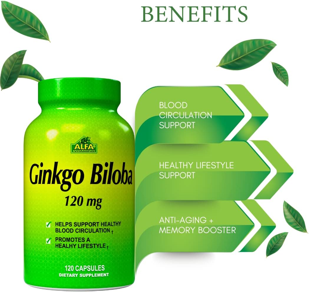 ALFA VITAMINS Ginkgo Biloba 120mg Supports Brain Function & Memory Support - 120 Capsules : Health & Household