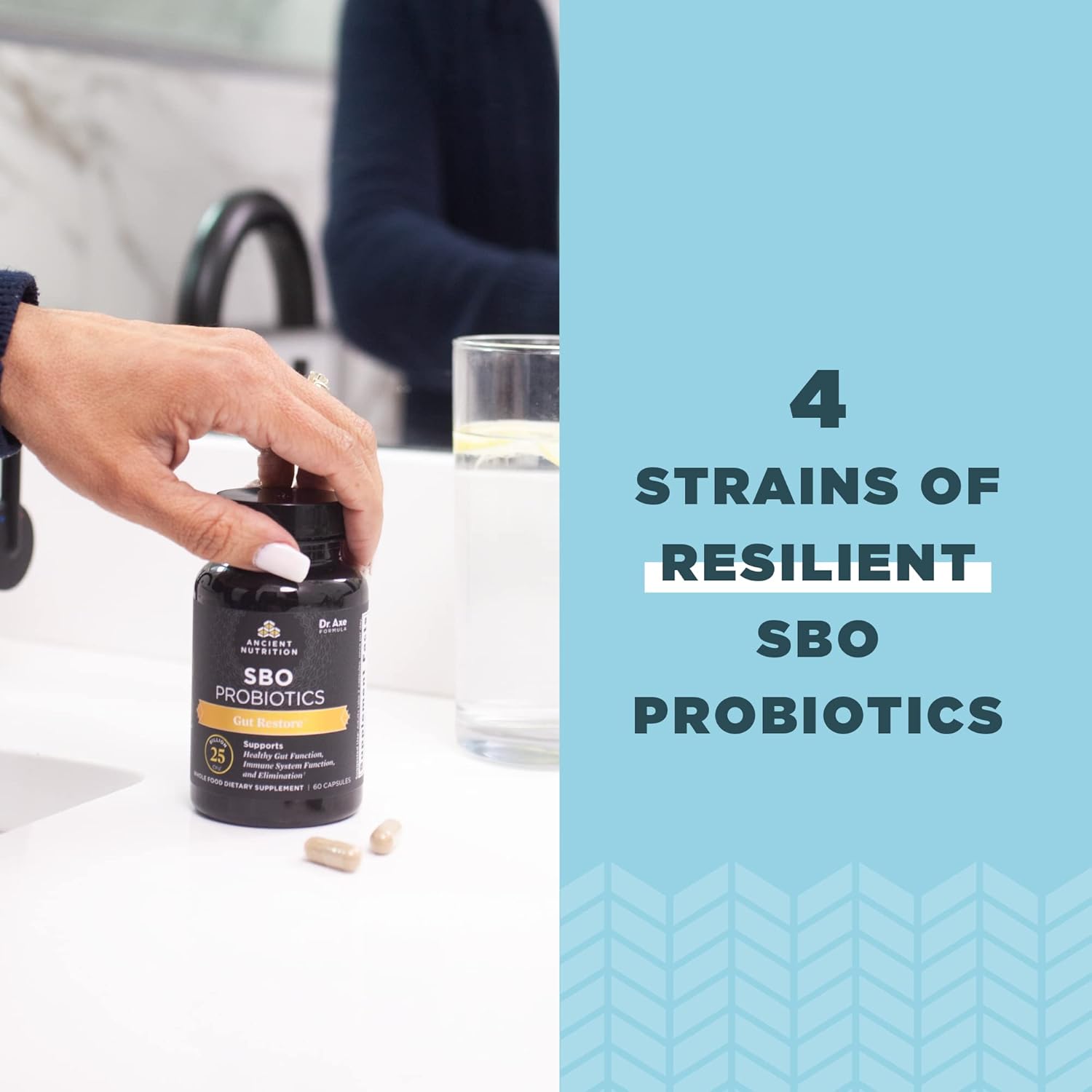 Ancient Nutrition Probiotics, Sbo Probiotics Gut Restore 60 Ct, Promotes Gut Health, Digestive And Immune Support, Gluten Free, Ancient Superfoods Blend, 25 Billion Cfus* Per Serving : Health & Household
