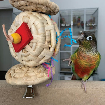 Beaky Peaky Chewable Foraging Parrot Toy