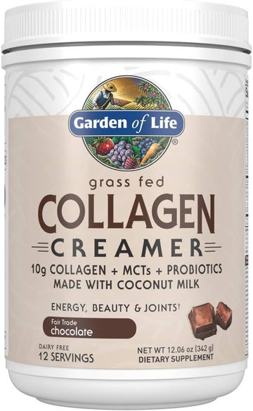 Garden of Life Grass Fed Collagen Creamer Powder - Chocolate, 12 Servings, Collagen Powder for Coffee Energy Beauty Joints, Collagen Peptides Powder, Coconut MCTs, Keto Collagen Protein Supplements