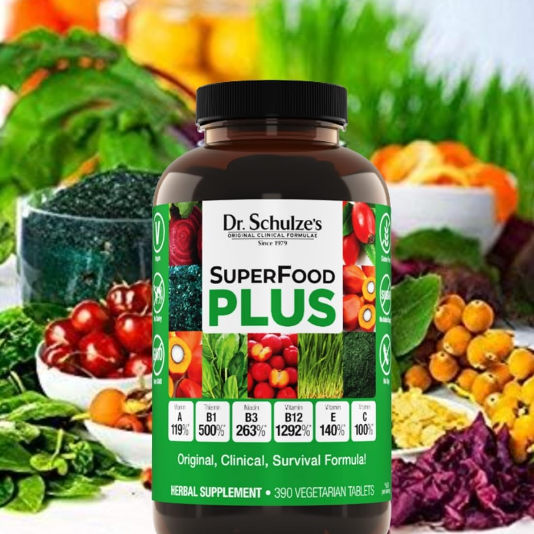 Dr. Schulze's SuperFood Plus | Vitamin & Mineral Herbal Concentrate | Daily Nutrition & Increased Energy | Gluten-Free & Non-GMO | Vegan | 390 Tabs | Packaging May Vary : Health & Household