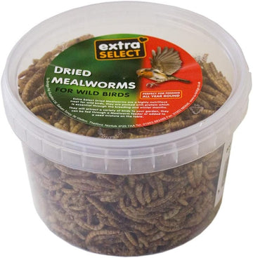 Extra Select Dried Mealworms Wild Bird Feed Treat, 500 ml?08MW500