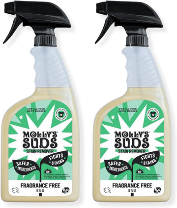 Molly'S Suds Natural Laundry Stain Remover Spray | Gentle Yet Powerful, Great For Baby & Pet Stains | Earth Derived Ingredients | 16 Oz, 2 Pack