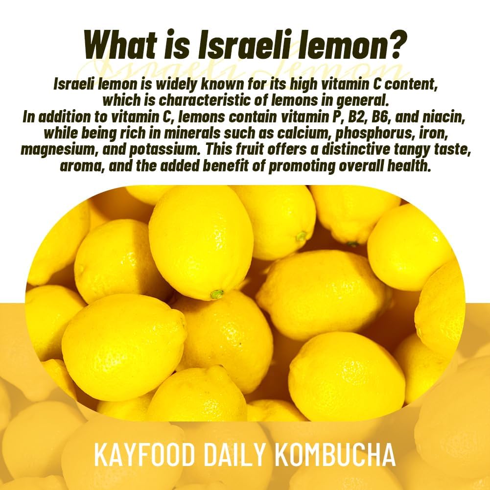 Kayfood-Kombucha-Lemon-Garden-Daily 30 Sticks Zero Sugar, Diet, Gut Healthy Sparkling Beverage, Fermented Korean Drinks For Iced Tea Hot Tea, Workout Tea 5.29Oz (150G)