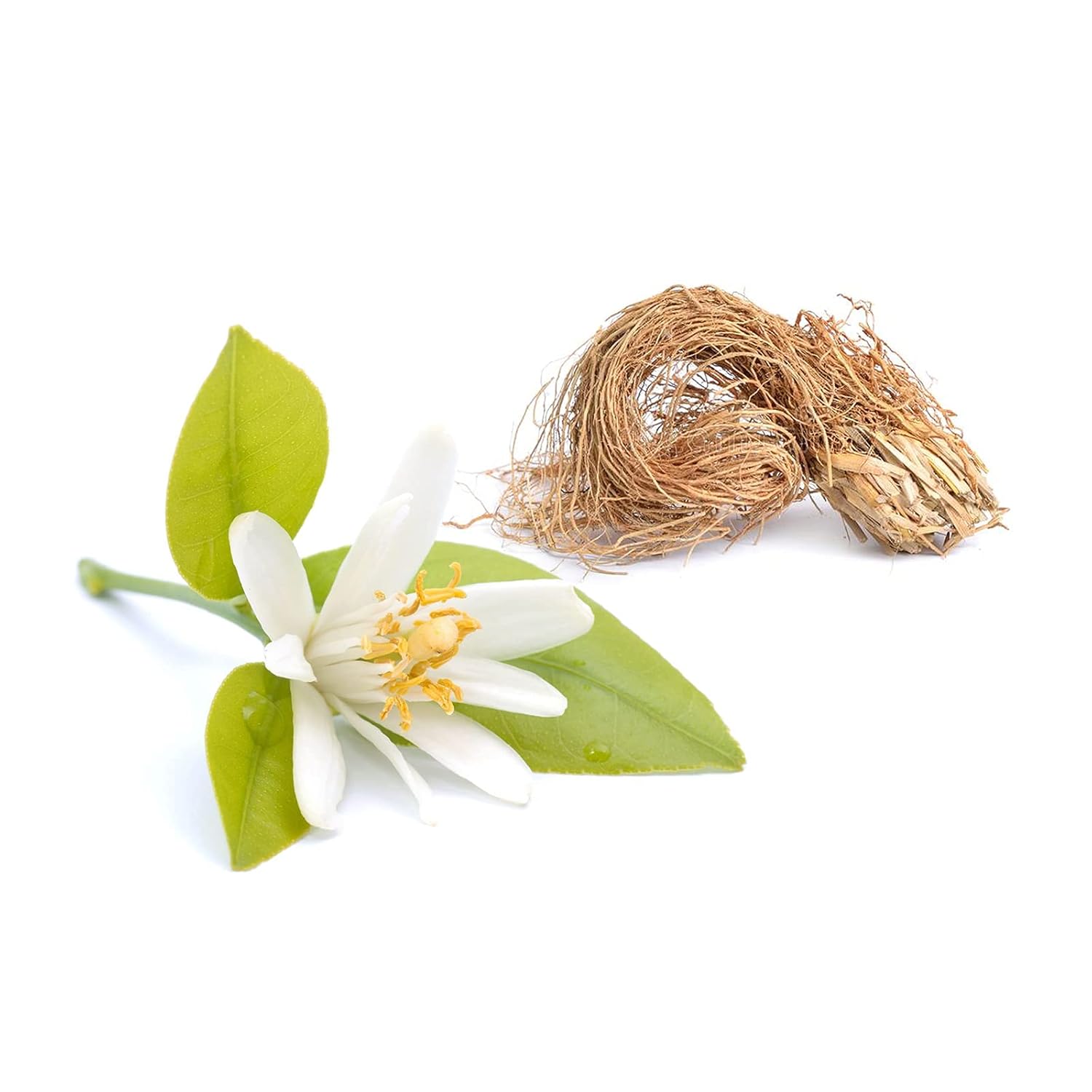 Derek Lam 10 Crosby Rain Day, Eau De Parfum, Woody And Aromatic Scent, Spray Perfume For Women, 1.7 Oz, I0088632 : Beauty & Personal Care