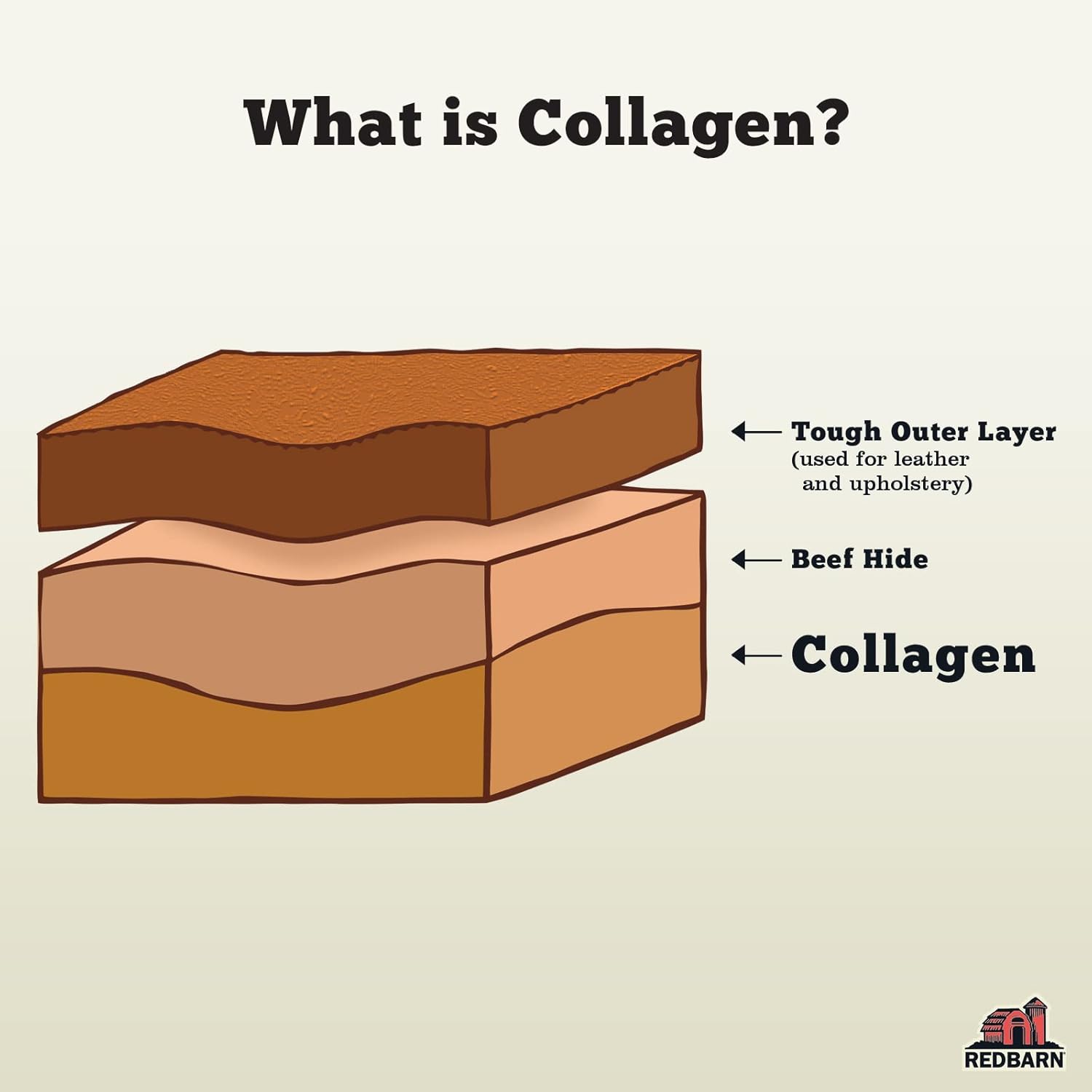 Redbarn Collagen Ring - Medium (Pack of 20) : Pet Supplies