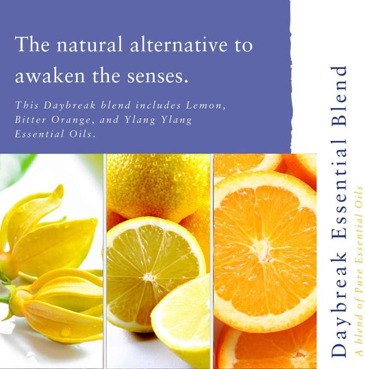 Absolute Aromas Daybreak Essential Oil Blend 10ml with 100% Pure Lemon, Orange, Tangerine & More Essential Oils