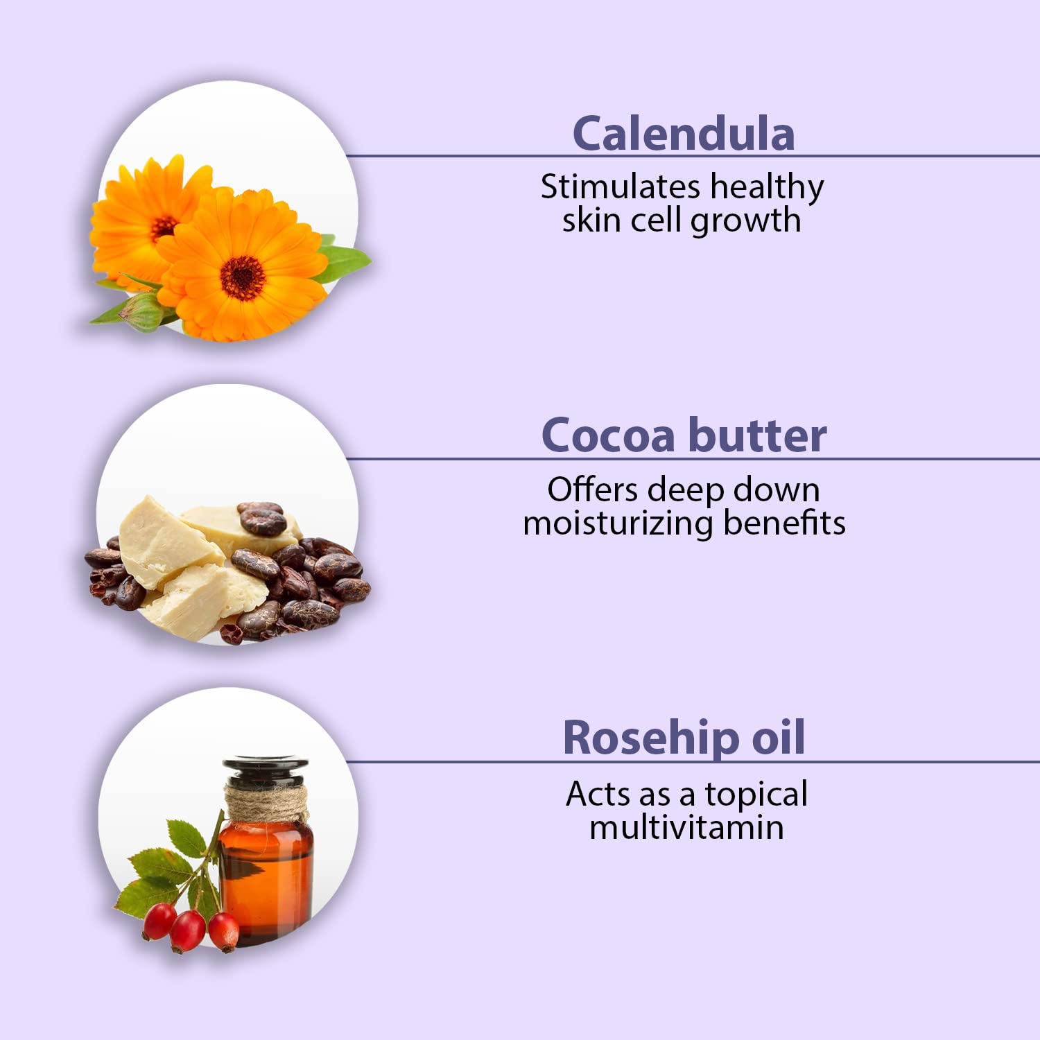 All Good Hand & Body Lotion - Moisturizing Organic Lotion For Dry Skin - Lavender Oil, Cocoa Butter, Rosehip Oil, Arnica, Vitamin E - Non-Greasy Body Butter, 6 Fl Oz (Lavender) : Beauty & Personal Care