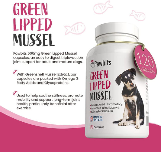 Pawbits 120 Green Lipped Mussel For Dogs 500mg Hip & Joint Support Powder Capsules (Not Tablets) for Dogs - Containing Premium New Zealand Mussel Natural Dog Joint Supplements – UK MADE