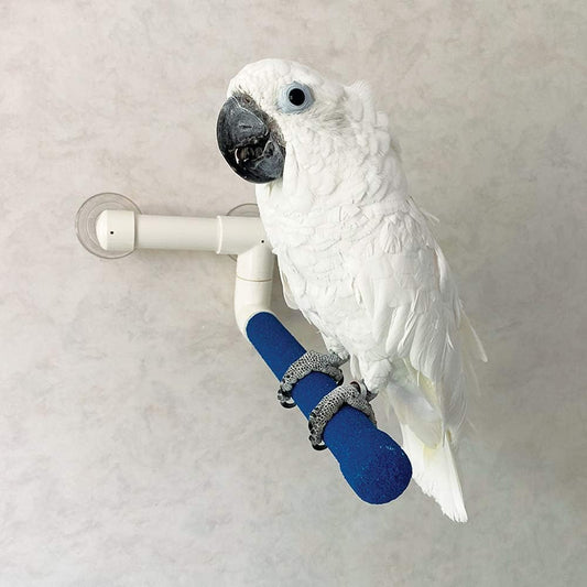 Northern Parrots Sanded Nail Trimming Shower Perch for Parrots - Large :Pet Supplies