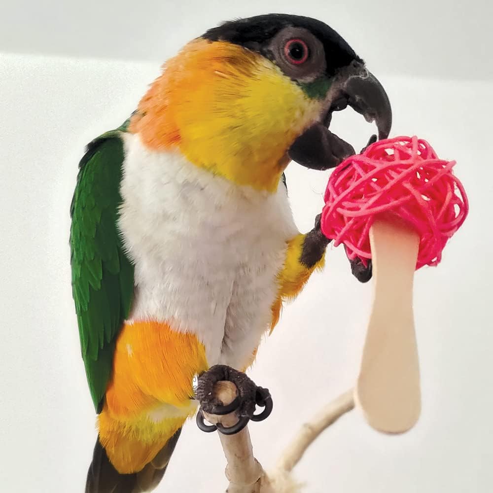Northern Parrots Popsicle Sticks Parrot Foot Toys - Pack Of 6