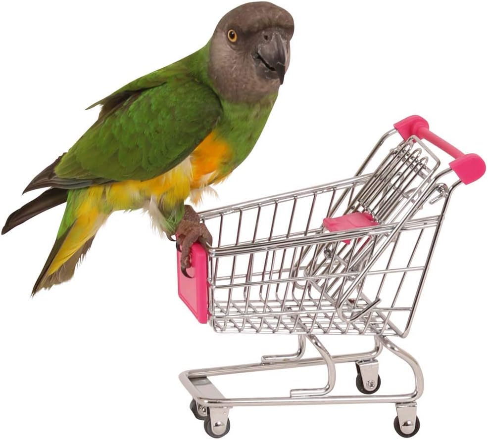 Northern Parrots Shopping Trolley Trick Training Parrot Toy :Pet Supplies