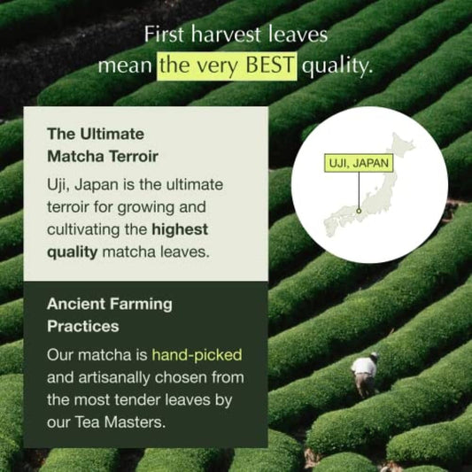 Encha Ceremonial Grade Organic Matcha Powder - First Harvest Organic Japanese Matcha Green Tea Powder, From Uji, Japan (Organic Ceremonial, 1 Pound (Pack Of 1))