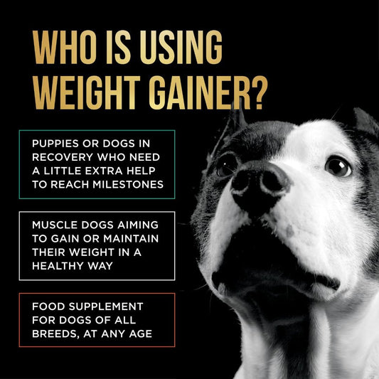 PET Care Science 8 lbs of Dog Weight Gainer - Weight Gain Supplements for Dogs - Canine and Dog Muscle Builder - Dog Protein Powder - High Calorie Dog Food Supplement