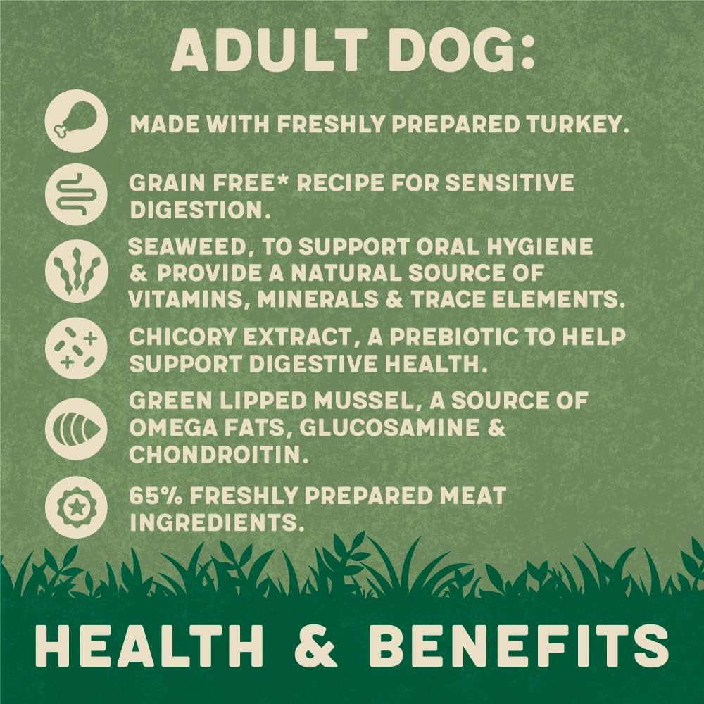 Harringtons Complete Wet Can Grain Free Hypoallergenic Adult Dog Food Turkey & Veg 12x400g - Made with All Natural Ingredients :Pet Supplies
