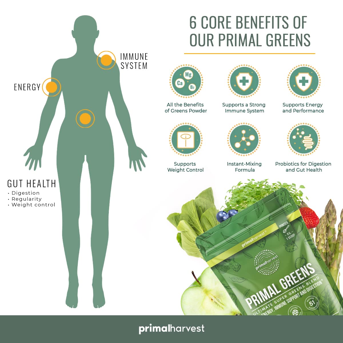 Primal Harvest Super Greens & Collagen Powder Supplements for Women and Men Superfood Greens Powder and Collagen Peptides Powder for Hair, Skin, and Nails Bundle : Health & Household