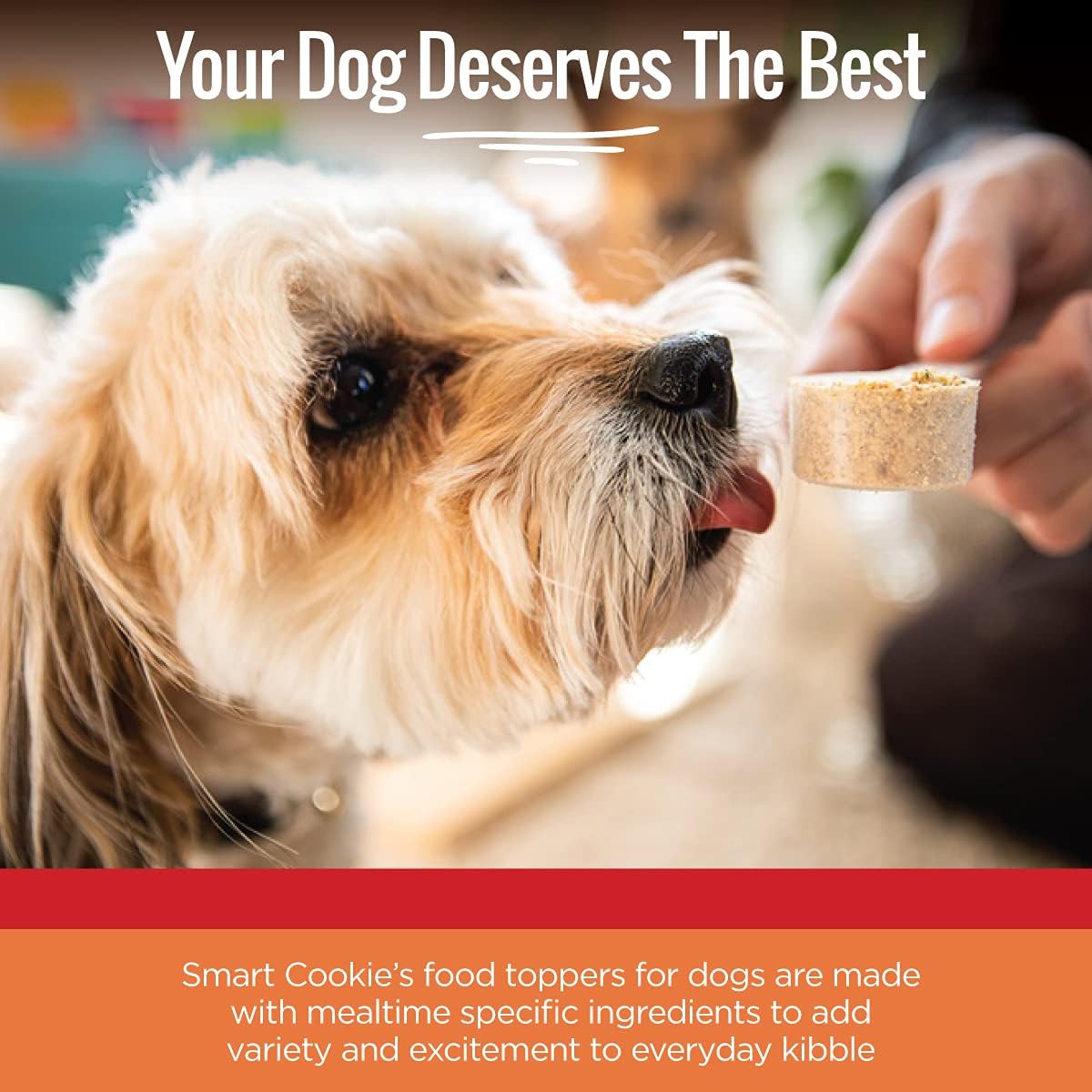 Smart Cookie Natural Dog Food Topper - Breakfast - Dog Meal Mixers for All Ages - Food Topper for Picky Eaters and for Boosting Nutrition - Non GMO, Made in The USA - 15 oz Bag (30 Day Supply) : Pet Supplies