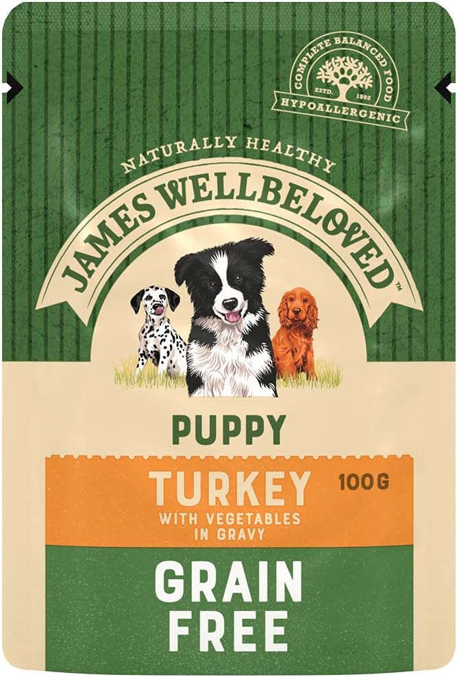James Wellbeloved Junior Grain-Free Turkey in Gravy 12 Pouches, Hypoallergenic Wet Dog Food for Puppies, Pack of 1 (12x100 g)?9003579006320