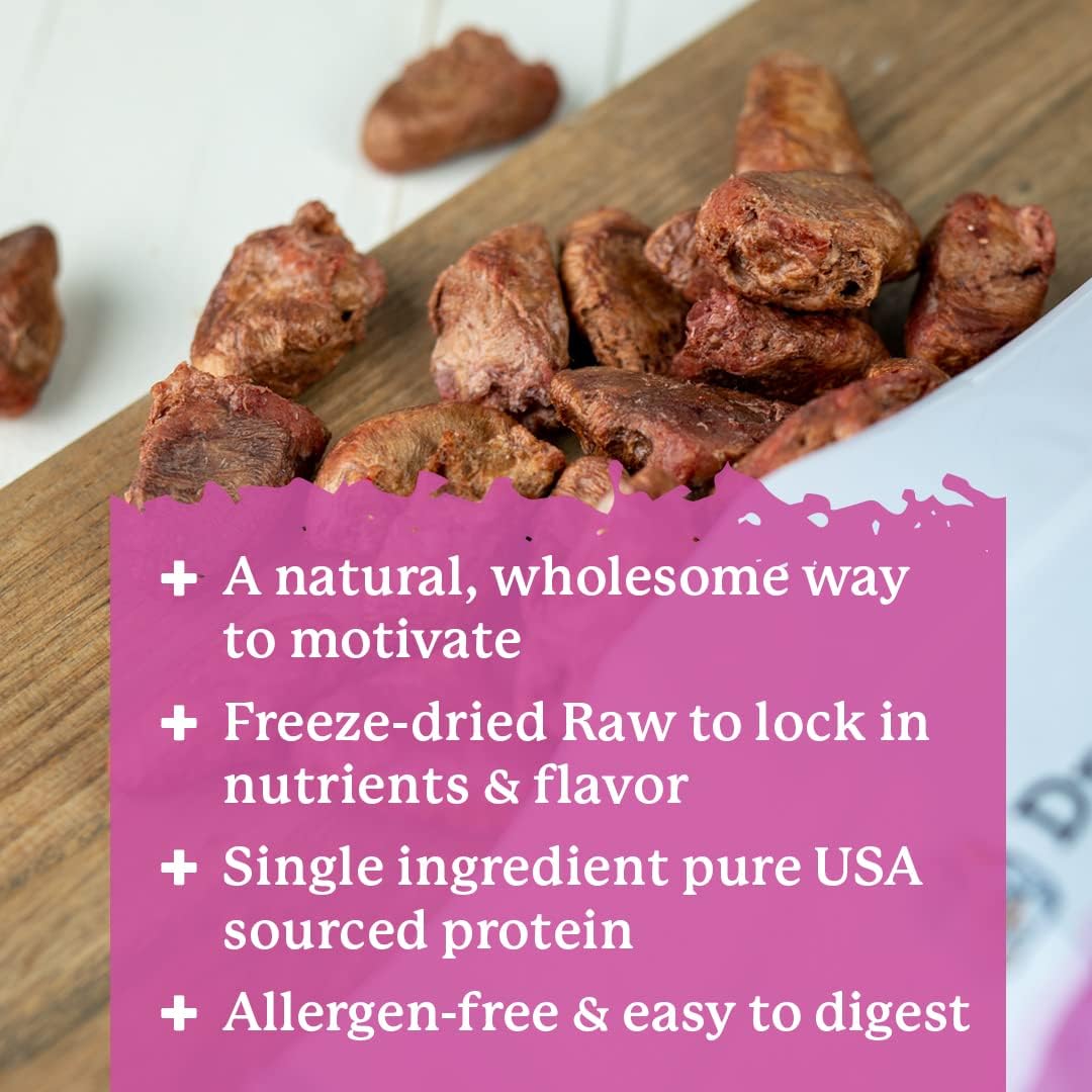 Dr. Harvey's Chicken Hearts Freeze Dried Training Dog Treats with Real Chicken Hearts for Dogs, 7 Ounces : Pet Supplies