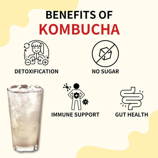 Garden Kombucha Tea, Powder 5G X 10 Sachets (50G/3.52Oz) Probiotics, Prebiotics, Sugar Free, Diet Tea, Healthy Drink (5 Variety Flavor)