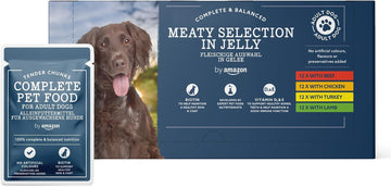 By Amazon Complete Food For Adult Dogs, Meat Selection In Jelly, 4.8 Kg (48 Packs Of 100G)Cz801055-02/ Cz843