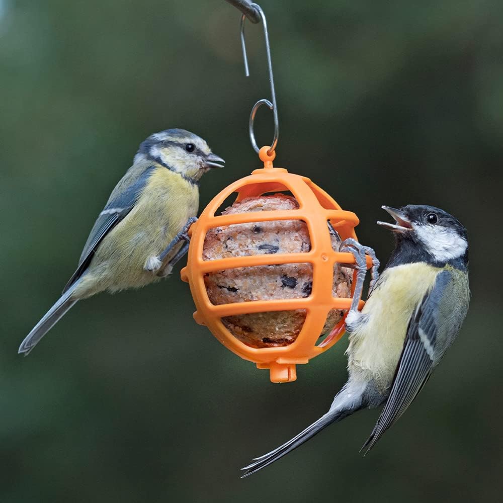 Jacobi Jayne FBB-6 Suet Ball Feeder, Orange, 540.0 mm*65.0 mm*85.0 mm :Garden