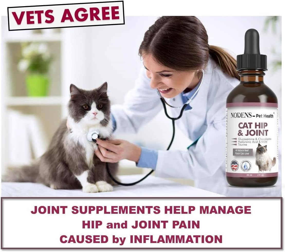NODENS CAT Hip and Joint Glucosamine for Cats with Chondroitin and Opti-MSM® Hyaluronic Acid for Improved Joint Flexibility and Pain Relief from Inflammation and Cat Arthritis 2 floz : Pet Supplies
