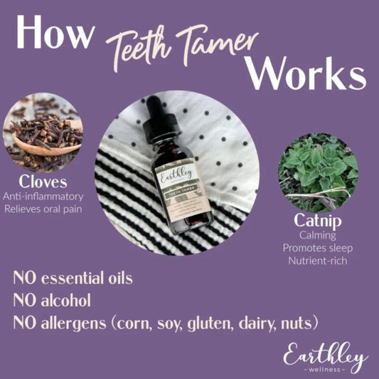Earthley Wellness Teeth Tamer, Teething Relief For Babies & Kids, Soothes Drooling, Gum Discomfort & Irritability, Organic Herbal Formula, Essential Oil Free, Alcohol-Free & Sugar-Free (1.69 Oz)