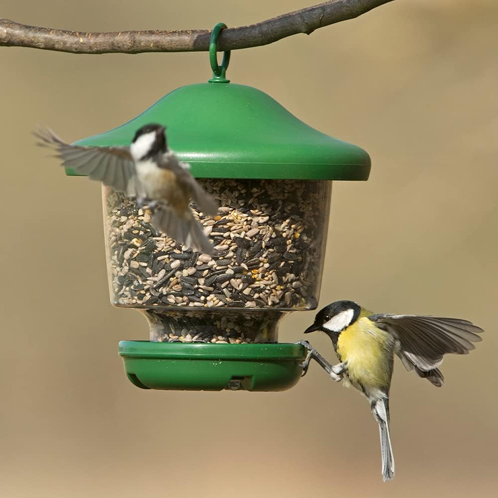 Hanging Lantern Garden Bird Feeder - My Favourites - Easy fill, rainproof roof, green :Garden