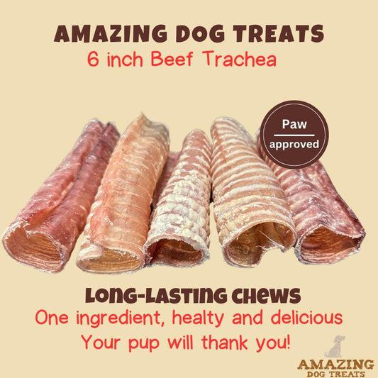 Amazing Dog Treats - 6 Inch Beef Trachea Dog Chews (10 pcs - 16.5 oz) - Trachea Dog Treats - NO Hide - Digestible and Safe Chews for Dogs - Glucosamine and Chondroitin for Joint Health
