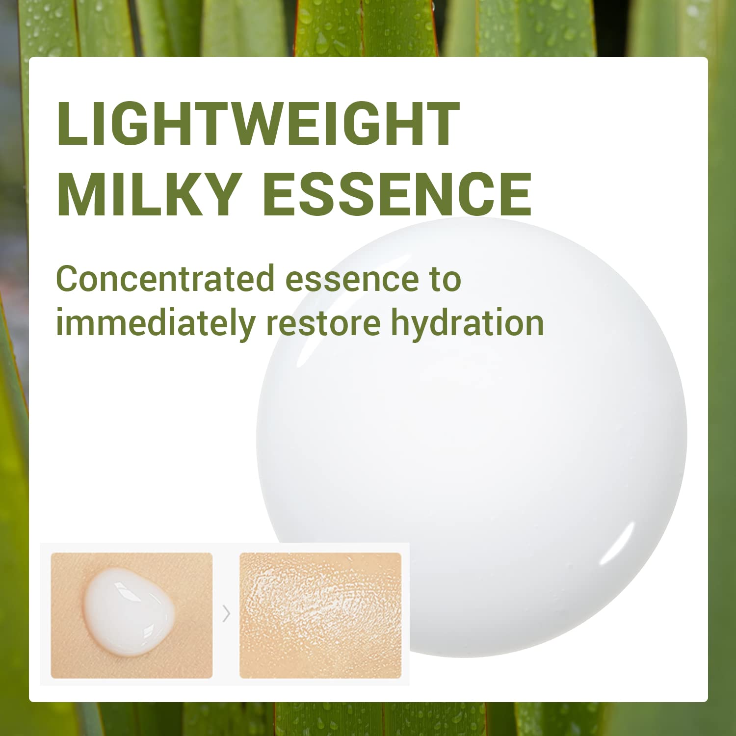 Thesaem Urban Eco Harakeke Essence 1.69 Fl.Oz. – Vegan Hydrating Facial Essence With Harakeke Extracts And Hyaluronic Acid - Refine Texture, Soothe Irritated Skin : Beauty & Personal Care