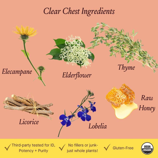Urban Moonshine Clear Chest Syrup - Helps Support Healthy Bronchial System* - Elecampane & Thyme* - Daily Respiratory Support* - Immune Support Supplement* - Cough Syrup For Adults - 4.2 Fl Oz