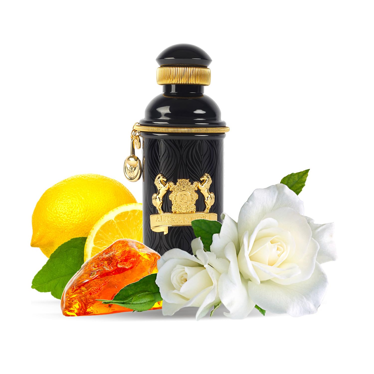 Black Muscs Eau De Parfum Spray For Women, 3.4 Ounce
