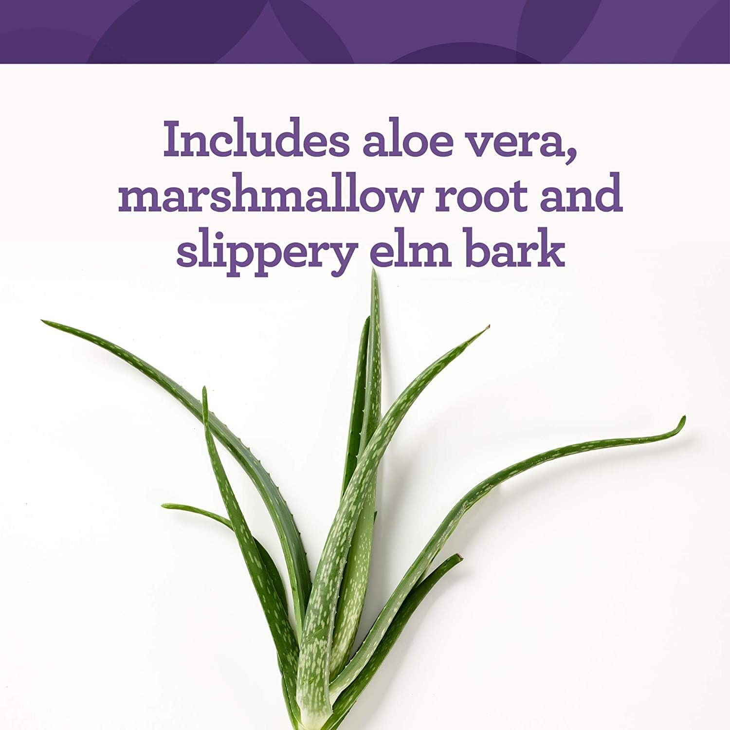 Innate Response Formulas Gi Response - Powdered Digestive Blend To Support Gastrointestinal Health - 5G Glutamine Per Serving - 30 Servings (228 Grams) : Health & Household