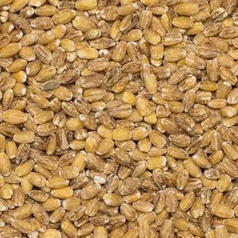 Wholefood Earth Pearl Barley 3 Kg | Gmo Free | High Fibre