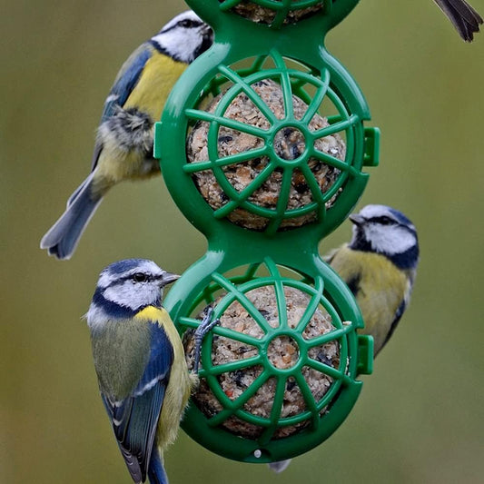 Fat Balls For Wild Birds - Jacobi Jayne® Chunky Dumplings™ Premium Suet Balls - Pack Of 6 x 100g - High Energy Fat Balls Wild Bird Food Feed To Attract Small Wild Birds Year Round?CD100-6