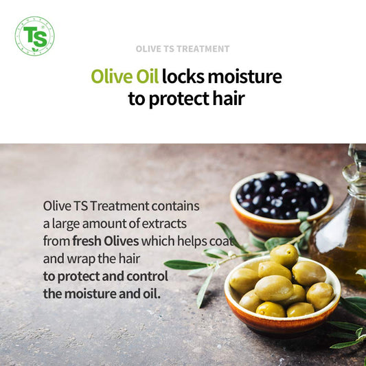 Olive Ts Treatment (17.6 Fl Oz / 500Ml) | Treatment Of Damaged Hair And Dry Scalp And Hair | Olive Oil Hair Treatment - Hydrating And Restorative| Silicone Free | All Hair Types