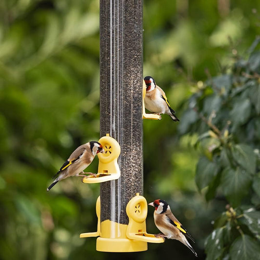 Bird Feeders For Small Birds - Jacobi Jayne® flo™ Yellow Easy-clean Bird Feeder For Niger Seeds - Bird Seed Feeders Hanging Wire Included - Bird Seed Feeder For Garden Birds?FLO-N2Y