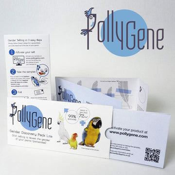 Pollygene Bird Sexing DNA Sample Card for Parrots, Lovebirds, Cockatoos, Grey African, Cockatiels (+300 Psittacines) Avian Gender reveal Test -Express Service-?01_DNA_SLIM