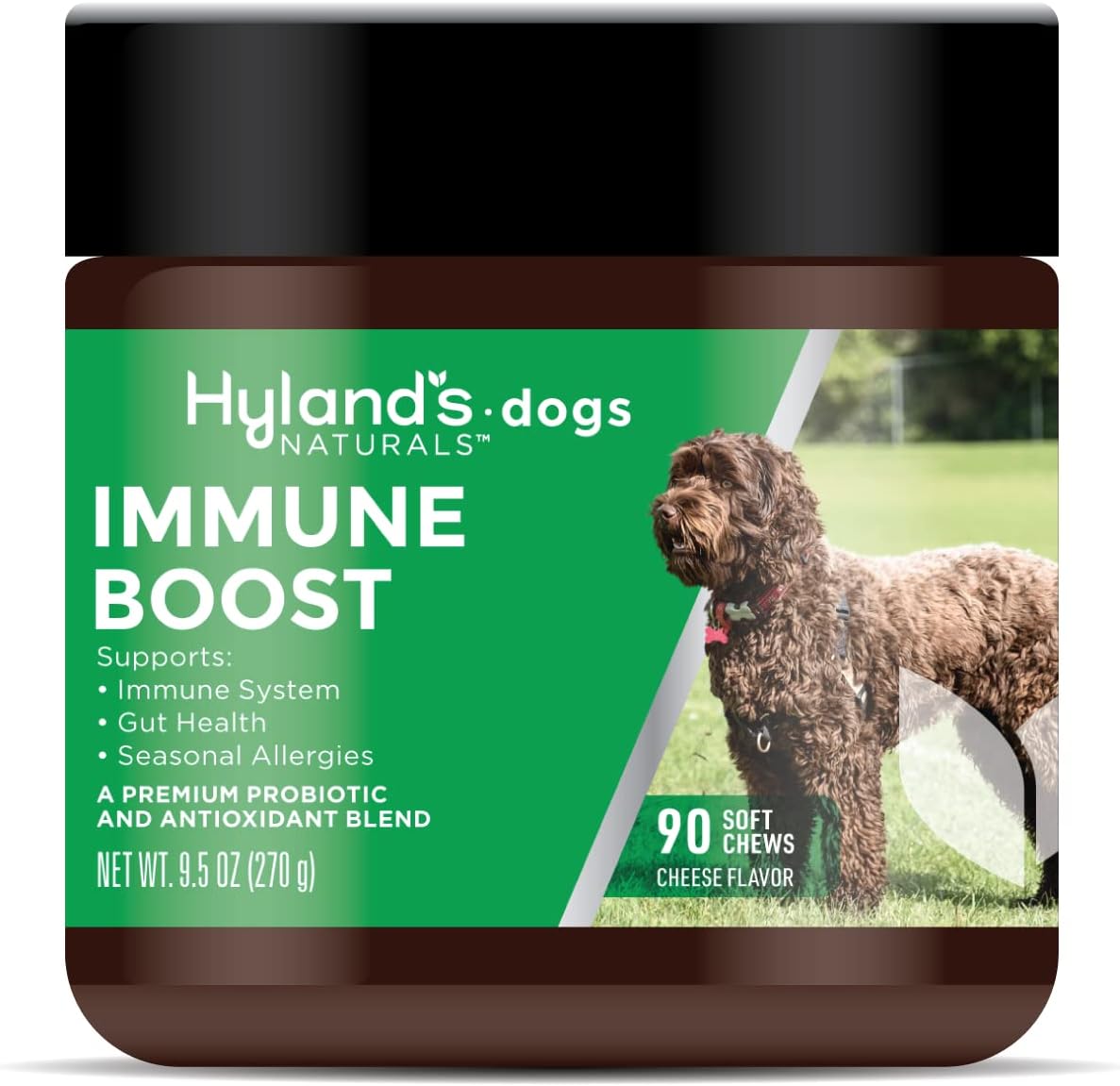 Hyland's Naturals - Immune Boost for Dogs, 90 Soft Chews, Supports Immune System, Gut Health & Seasonal Allergies, with Probiotics & Antioxidants, Cheese Flavor