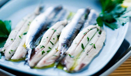 White Anchovies In Oil 1Kg