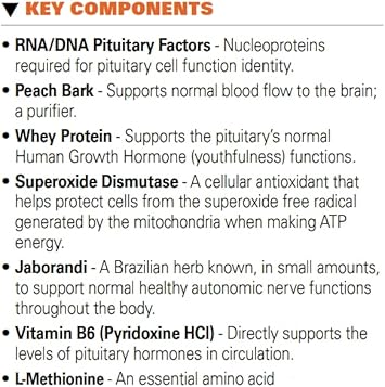 Systemic Formulas #32 Bio Function Gb Pituitary/Pineal 60 Capsules. Supports Mental Clarity And Focus And Normal Circadian Rhythms