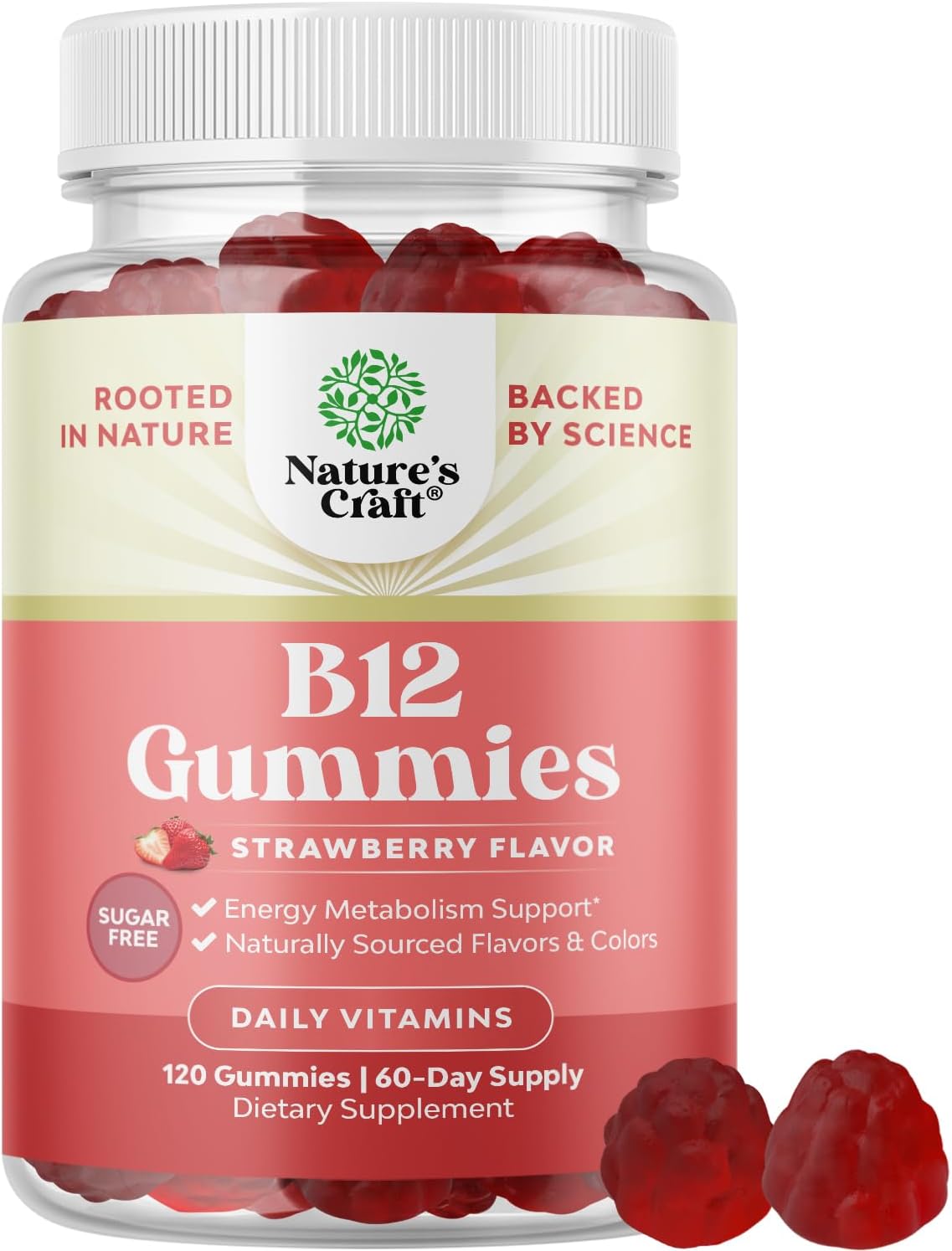 Sugar Free Vitamin B12 1000 mcg Gummies - Vegan B12 Gummies for Adults Energy Focus Immunity and Nerve Support - Vitamin B12 Gummies for Adults - Kosher Non GMO Gluten Free & Vegan (60 Servings)