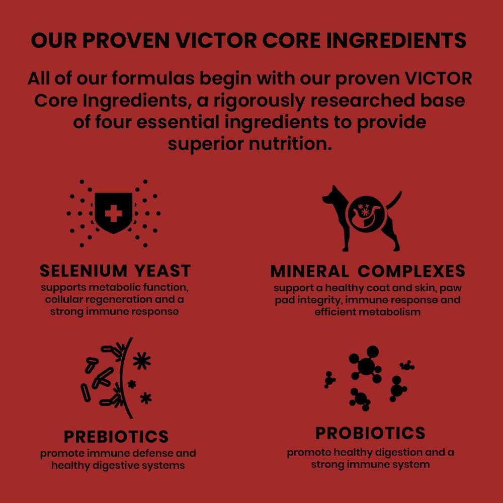 Victor Super Premium Dog Food – Classic Crunchy Dog Treats with Lamb Meal – Gluten-Free Treats for Small, Medium and Large Breed Dogs, 28oz : Pet Supplies